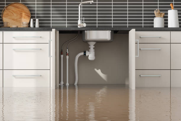 Best Professional water damage repair  in Somers, MT