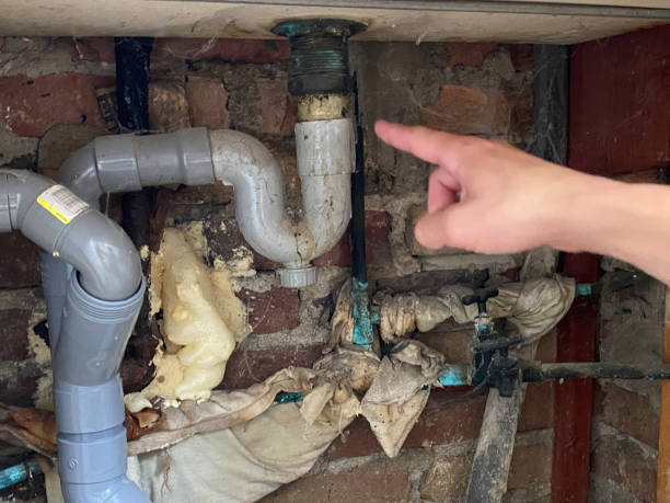 Best Residential water damage restoration  in Somers, MT